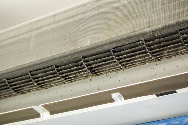 Best Ventilation Cleaning Services  in Gretna, LA